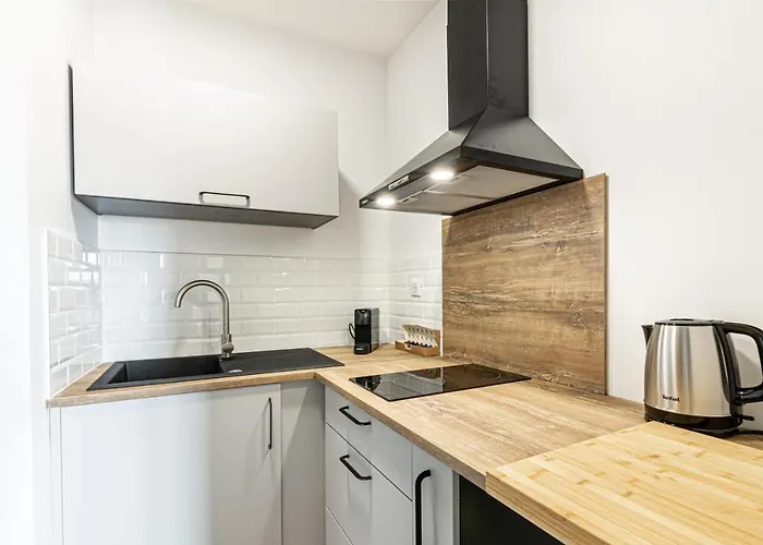 Lägenhet Blanca - Hyper Centre Tres Cosy Auch